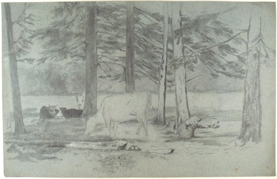 Cows among Trees
