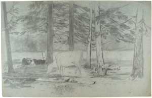 cows-among-trees