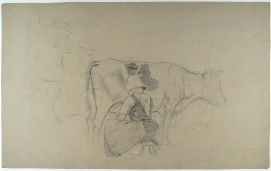 Woman Milking a Cow