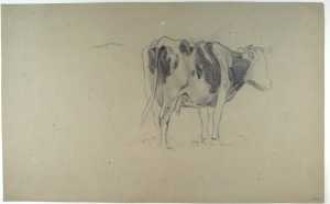 cow