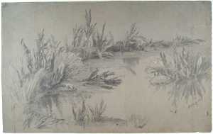 water-with-plants