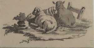 three-sheep-lying-down