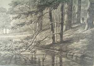 forest-view-in-the-lower-part-of-de-oorsprong-the-origin-estate-in-oosterbeek-near-arnhem-gelderland-province