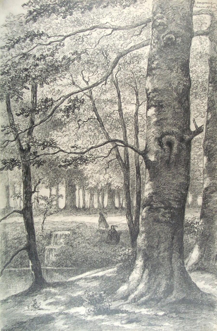 Bosgezicht in het laaggelegen deel van landgoed De Oorsprong in Oosterbeek bij Arnhem (provincie Gelderland)