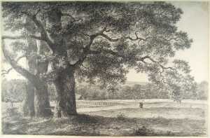 landscape-with-trees-possibly-on-the-biljoen-estate-near-arnhem-gelderland-province