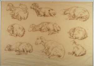 nine-studies-of-sheep