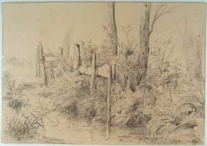 dichtbegroeide-slootkant