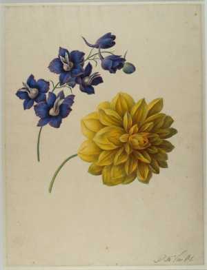 blauwe-en-gele-bloemen