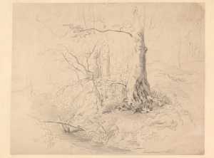 stream-with-trees-in-the-rozendaal-in-velp