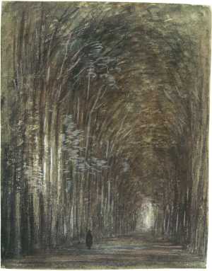 the-forest-of-mr-huydecoper-in-eemnes-utrecht-province