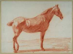 standing-horse-facing-right