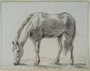 grazing-horse-facing-left