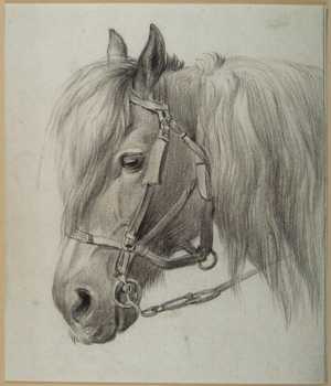 horse-s-head-with-bridle-facing-left-in-profile
