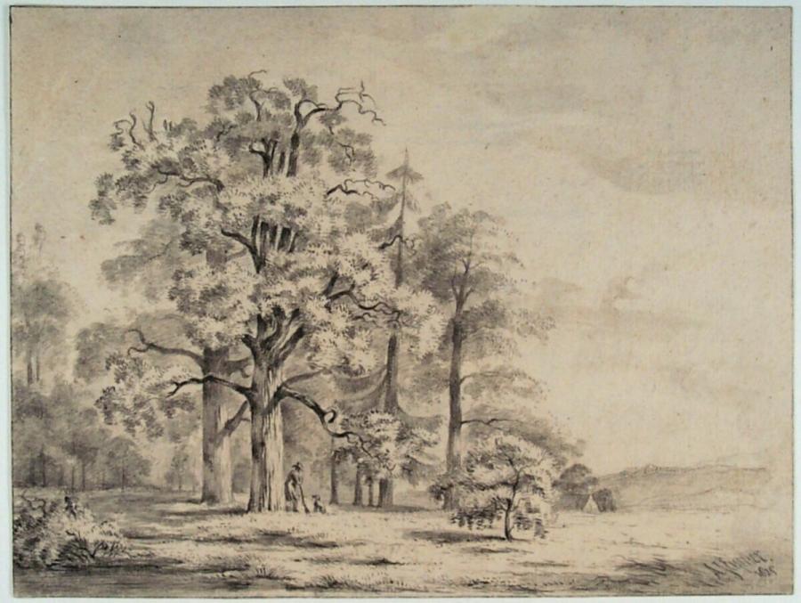 Man en hond onder hoge bomen