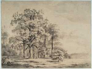 man-en-hond-onder-hoge-bomen