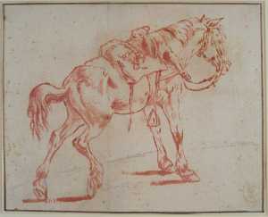 een-staand-paard-opzij-gezien