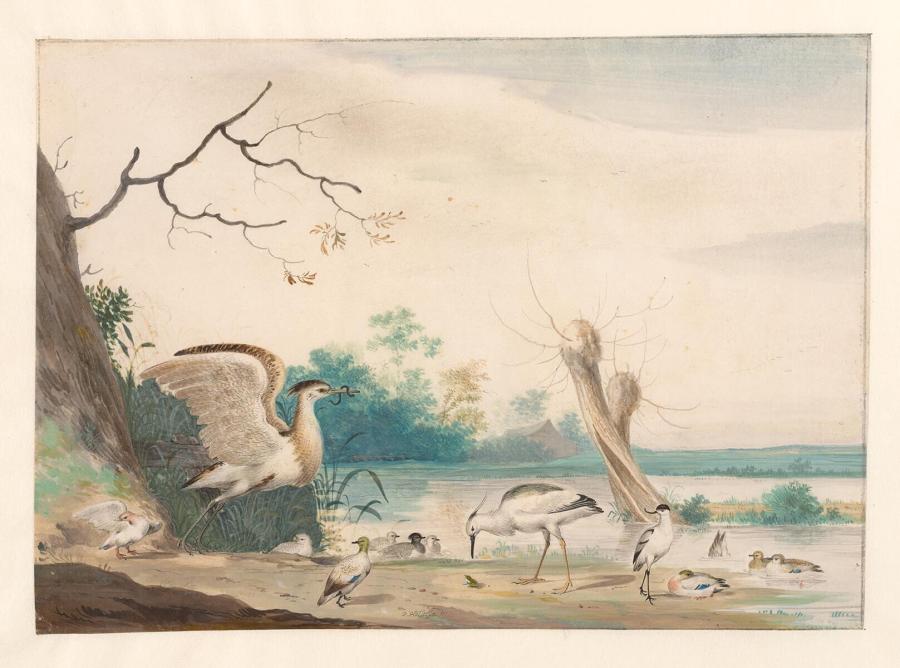 Landschap met eenden en watervogels