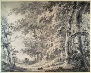 coach-on-a-forest-road