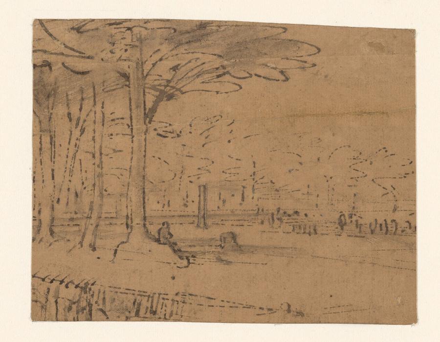 Landschap met hoge bomen