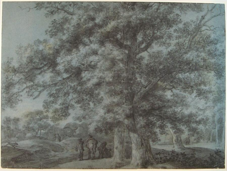 Hunters Stop in a Forest