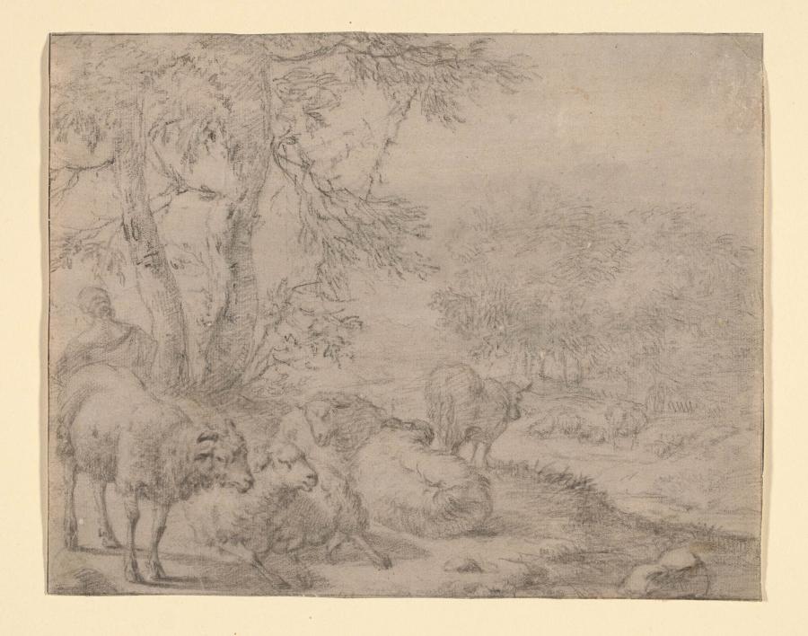 Landschap met schapen