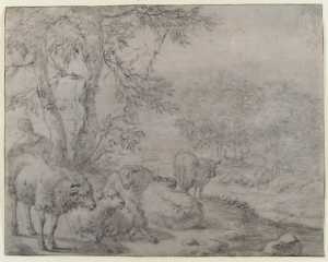 landschap-met-schapen