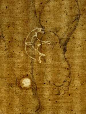 TMSFoto/PK/V 27 recto (PK)_1.jpg