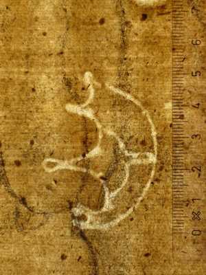 TMSFoto/PK/V 27 recto (PK)_2.jpg