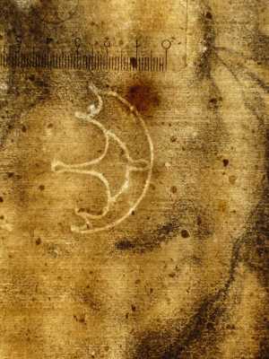 TMSFoto/PK/V 52 (PK)_3.jpg