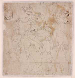 vrouw-rijdend-op-een-olifant