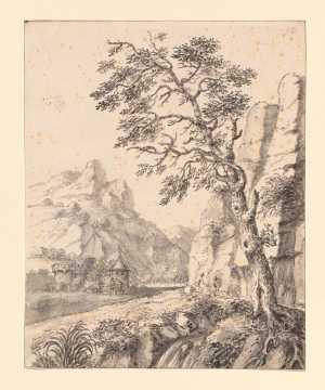 high-tree-in-a-rocky-landscape