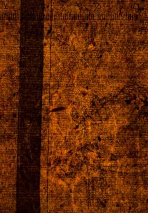 TMSFoto/PK/WM inv D I 247 detail.jpg