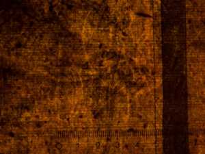 TMSFoto/PK/WM inv D I 247 doublure detail.jpg