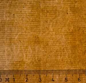 TMSFoto/PK/WM inv DN 110-7 doublure Paard .jpg