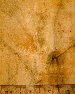 TMSFoto/PK/WM inv DN 117-14 detail Kroon-ster.jpg