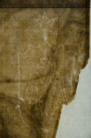 TMSFoto/PK/WM inv DN 124-21 detail Adelaar-wapenschild-ster.jpg