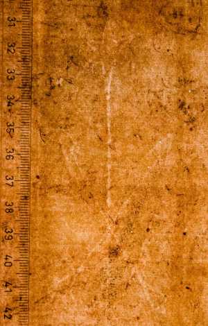 TMSFoto/PK/WM inv DN 136-33 Gekruiste pijlen ster detail.jpg