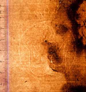 TMSFoto/PK/WM inv DN 139-36_MB 949 detail Meermin-cirkel-kroon.jpg