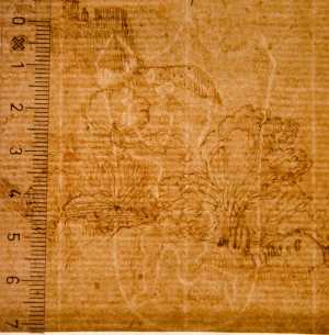 TMSFoto/PK/WM inv H 89 detail.jpg