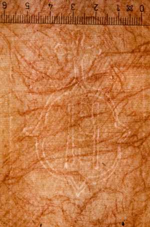 TMSFoto/PK/WM inv I 114v detail.jpg