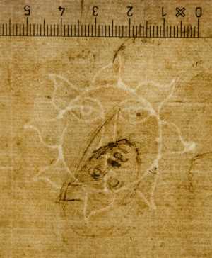 TMSFoto/PK/WM inv I 118 Soleil detail.jpg