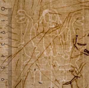 TMSFoto/PK/WM inv I 130 Meermin detail.jpg