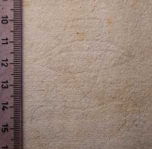 TMSFoto/PK/WM inv I 137 kardinaalshoed detail strijklicht.jpg