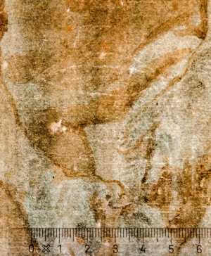 TMSFoto/PK/WM inv I 137 kardinaalshoed detail.jpg