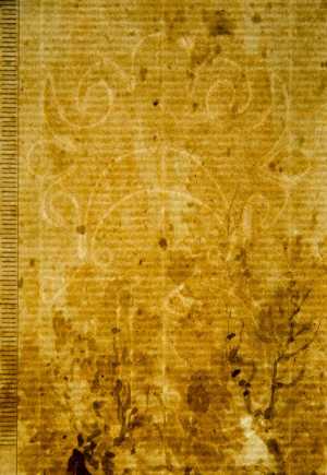 TMSFoto/PK/WM inv I 141 detail.jpg