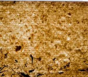 TMSFoto/PK/WM inv I 157 Onbekend detail.jpg