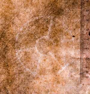 TMSFoto/PK/WM inv I 16 detail.jpg