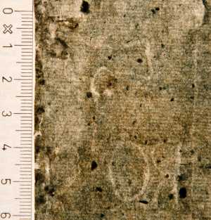 TMSFoto/PK/WM inv I 163 detail.jpg