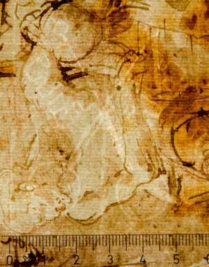 TMSFoto/PK/WM inv I 168 detail.jpg