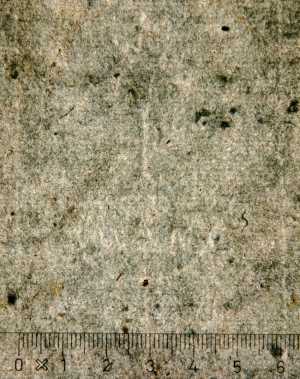 TMSFoto/PK/WM inv I 184 detail Kroon-ster.jpg